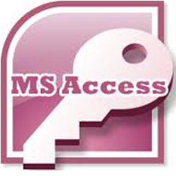 MS Access database developer Miami FL